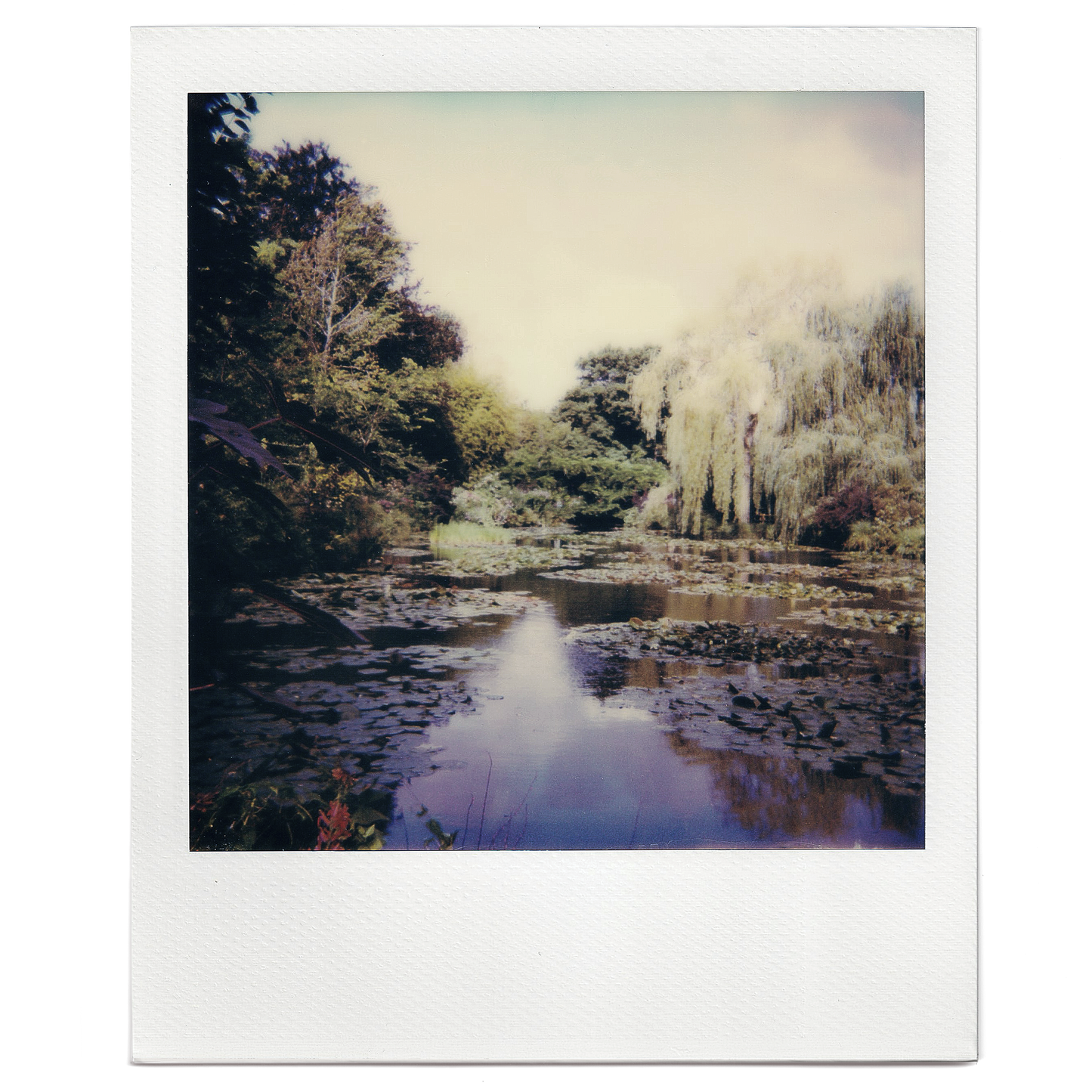 Custom Square Photo Print - Polaroid Colour Film