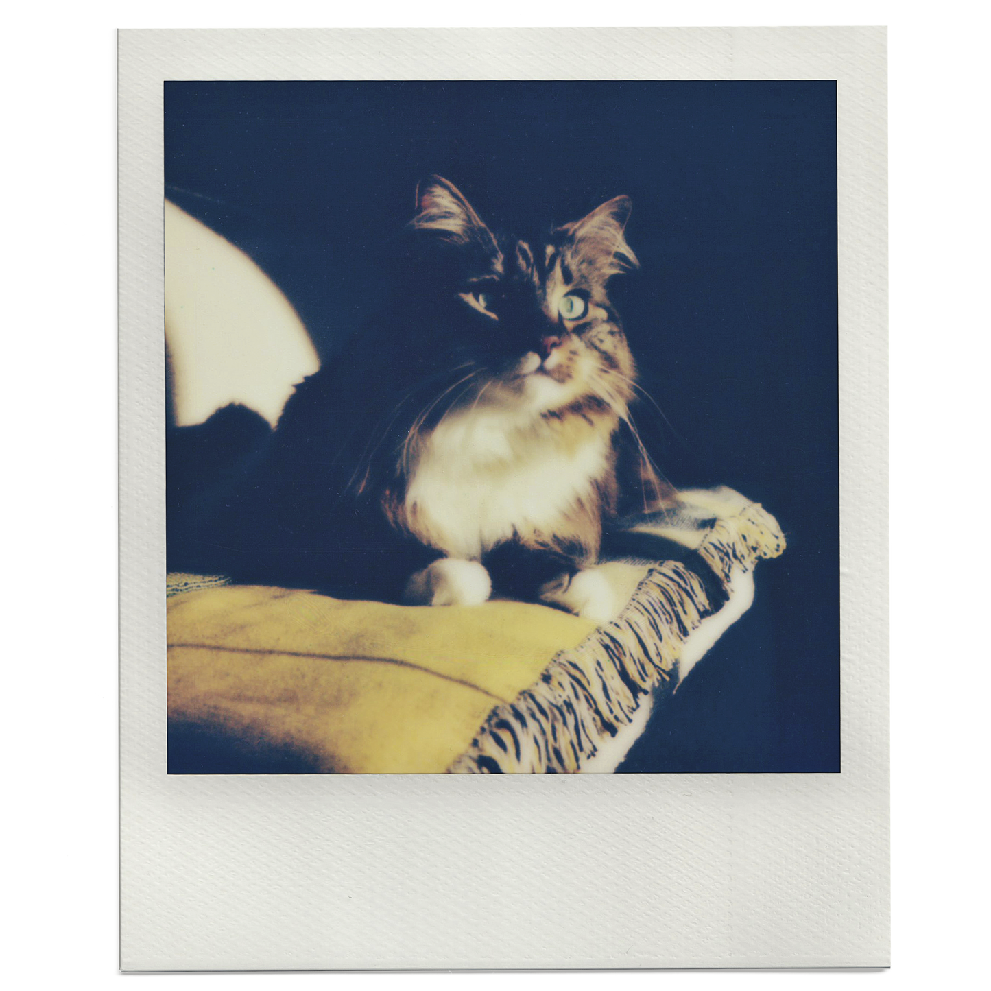 Custom Square Photo Print - Polaroid Colour Film