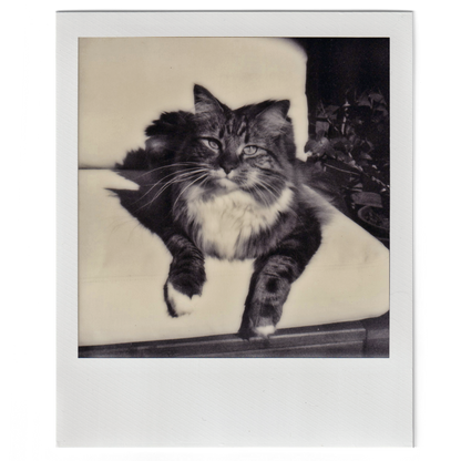 Custom Square Photo Print - Polaroid Black and White Film