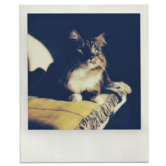Custom Square Photo Print - Polaroid Colour Film